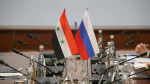 Около 100 террористов уничтожила армия Сирии при поддержке России