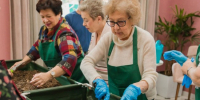 «Долголеты» смогут посетить День гостей в ЦМД «Внуково» 7 декабря - На Западе Москвы: Внуково