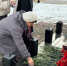 На Коньковских прудах состоялось памятное мероприятие  Мы под Москвой стояли насмерть - Район Коньково