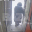 Появилось видео, как пассажир и проводница выбрасывают кота Твикса из поезда - M24.Ru