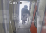 Появилось видео, как пассажир и проводница выбрасывают кота Твикса из поезда