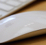 9to5Mac: Apple начала разработку Magic Mouse без разъема снизу - M24.Ru