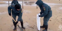 МЧС показало видео очистки пляжа в Анапе от мазута - Вечерняя Москва