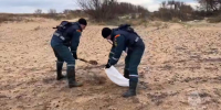 Выброс мазута произошел в районе мыса Змеиный и крепости Ени-Кале в Крыму - Вечерняя Москва