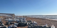 В Керчи на побережье локально ликвидированы пятна мазута - M24.Ru