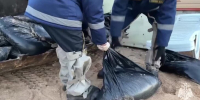 Московский зоопарк объявил о сборе помощи пострадавшим животным в Анапе - M24.Ru