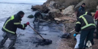 МЧС: около 15 тонн мазута вывезли с побережья Черного моря в Крыму - M24.Ru