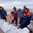 В Краснодарском крае от нефтепродуктов очищено более 39 км береговой линии - M24.Ru