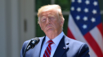 СМИ: Трамп процитировал Путина, говоря о завершении конфликта на Украине
