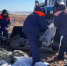 Более 21 тыс тонн загрязненного мазутом грунта собрано на побережье Кубани и Крыма - M24.Ru