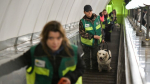 Более 400 собак-проводников прошли обучение в столичном метро с 2014 года