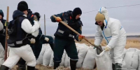 В МЧС Краснодарского края заявили, что берег галечных пляжей Анапы очищен от мазута - M24.Ru