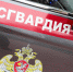 Росгвардия задержала в Санкт-Петербурге пьяного, запустившего фейерверк в толпе - Вечерняя Москва