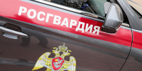 Росгвардия задержала в Санкт-Петербурге пьяного, запустившего фейерверк в толпе - Вечерняя Москва