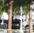 Полиция США обнаружила во взорвавшемся пикапе Cybertruck канистры бензина - M24.Ru