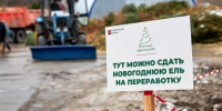 Жители Теплого Стана могут принять участие в акции  Елочный круговорот - Район Тёплый Стан