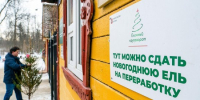 Жители Гагаринского района могут сдать елки на переработку в экоточку на Ломоносовском проспекте - Гагаринский район