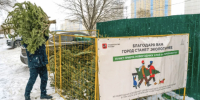 Жители Кунцева могут сдать елки на переработку в специальной экоточке - Район Кунцево