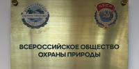 В ВООП назвали способ ускорить восстановления экосистемы Керченского пролива - Московская газета