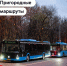 Московский транспорт выйдет на пригородные маршруты из Москвы в ближайшее Подмосковье уже в этом году - Префектура ЗАО Москвы