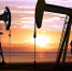Reuters: Китай и Индия приостановили закупки нефти из России с поставкой в марте - M24.Ru