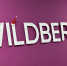 МВД предупредило о новой схеме мошенничества с поддельным сайтом Wildberries - Вечерняя Москва