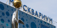 Киносеансы «Полюбить океан» стартовали в «Москвариуме» на ВДНХ - Информационный Центр