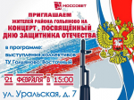 Концерт ко Дню защитника Отечества
