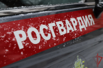 Столичные росгвардейцы помогли автоледи спасти автомобиль от огня