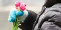 Юрист объяснила, почему на 8 Марта не будет дополнительного выходного - Вечерняя Москва