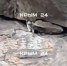"Крым 24": кошка Муся, которую выкинули с обрыва в Крыму, найдена и жива - M24.Ru