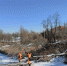 В Троицке очищают русло реки Десны в целях безопасности, фото - Мой район