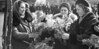 Продажа цветов на улице Горького. Фото А. Агапова. Март 1956 года. Главархив Москвы - Департамент соцзащиты