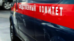 Тело мужчины с простреленной головой нашли в гараже