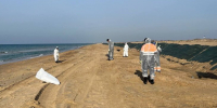 Новые выбросы мазута зафиксированы на береговой линии Анапы - M24.Ru