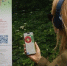 240 новых указателей к знаковым местам Москвы установят к Дню Победы - Molnet.Ru