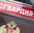 Фото: пресс-служба Росгвардии - Новые Округа