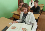 Основы анатомии: практический урок для будущих ветеринаров