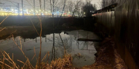 Пятилетняя девочка утонула в пруду у частного дома на севере Москвы - Комсомольская Правда