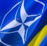 Трамп назвал вопрос членства Украины в НАТО причиной конфликта - M24.Ru