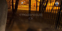 Задержан подозреваемый в убийстве мужчины на востоке Москвы - M24.Ru
