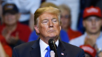 Fox News: Журналист Харрисон поблагодарил Трампа за закрытие южной границы США