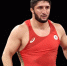 Борец Садулаев не выступит на чемпионате Европы из-за отсутствия визы - M24.Ru
