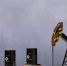 Стоимость нефти марки Brent достигла рекордно низкого уровня за последние 4 года - ИА Медиа Ток