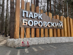 Общегородские субботники пройдут в районе Внуково