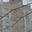 Дома в районе проверили на безопасность. Фото: Анна Быкова,  Вечерняя Москва - Красносельский район