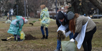 Сергей Собянин перенес общегородской субботник на 19 апреля из-за непогоды - Комсомольская Правда