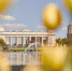 Музей парка Горького проведет бесплатные экскурсии для жителей, фото - Мой район
