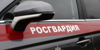 Столичные росгвардейцы задержали находящегося в розыске мужчину - Росгвардия