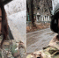 Военкоры Прокофьева и Федорчак посмертно награждены орденом Мужества - M24.Ru
